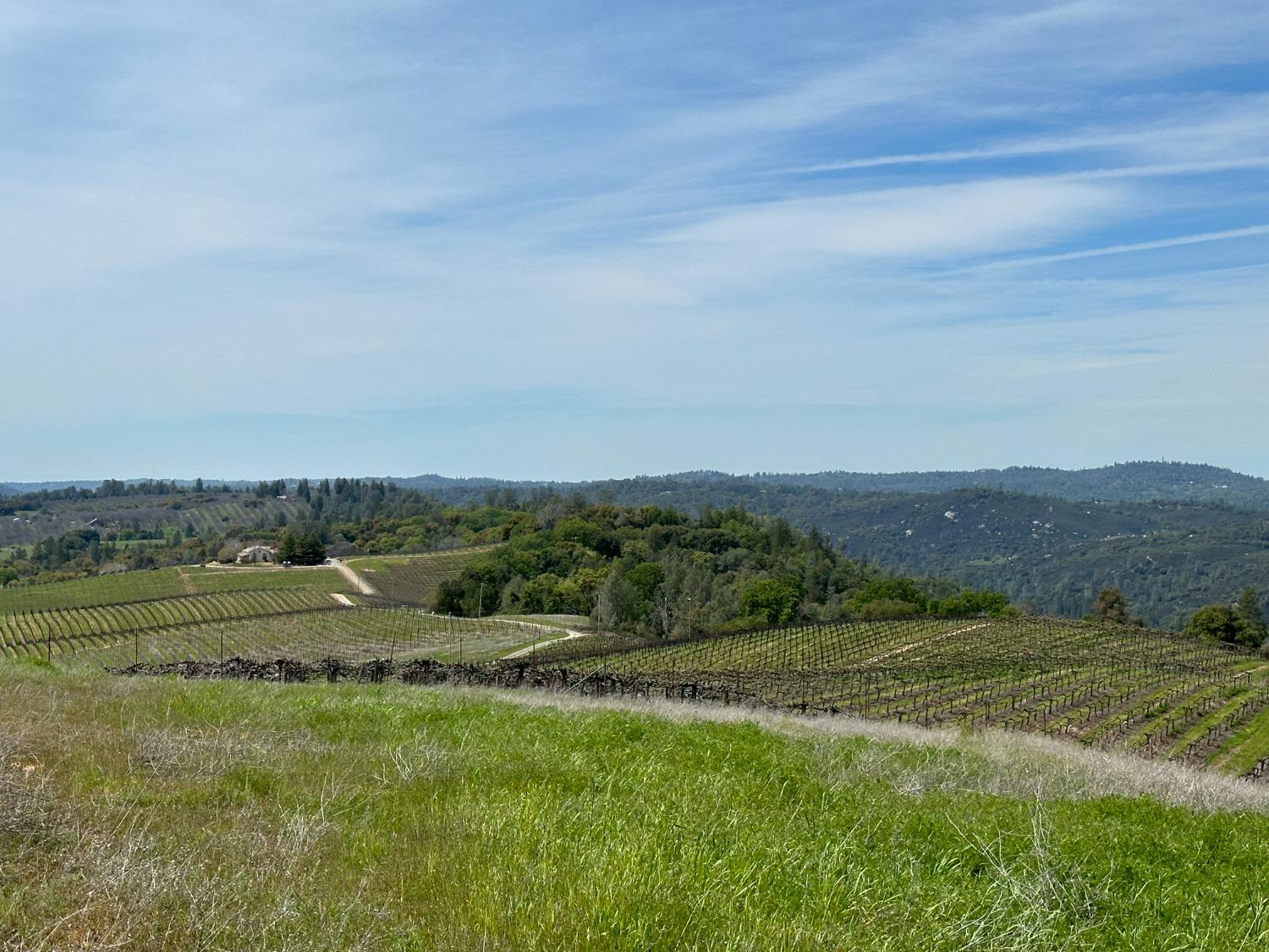 Hawk Haven Lane, Somerset, California image 1