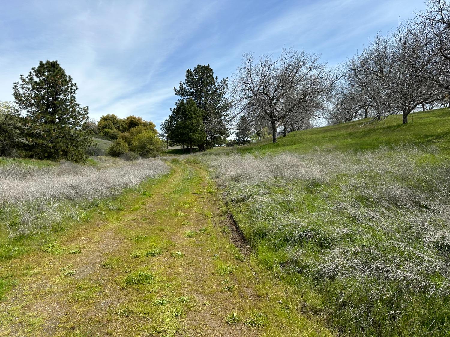 Hawk Haven Lane, Somerset, California image 3