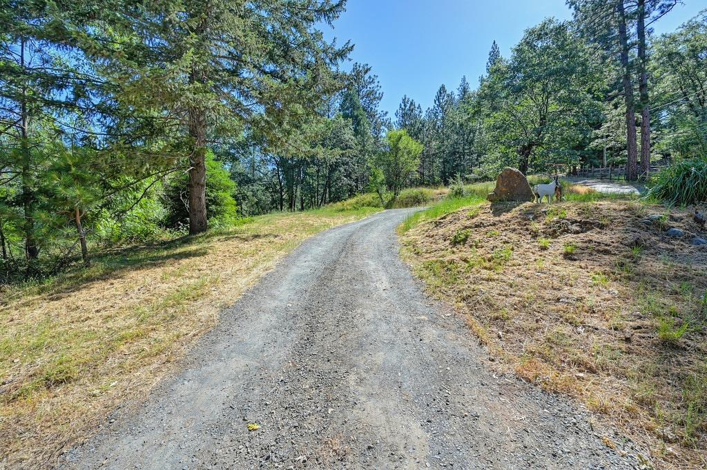 Sunray Lane, Colfax, California image 1