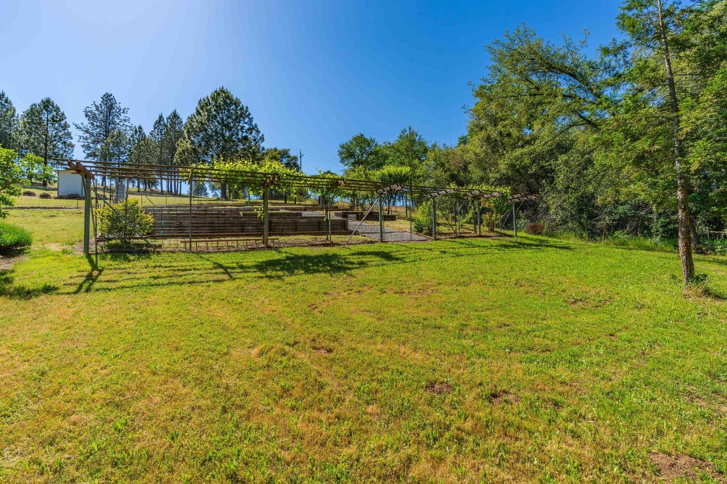 Detail Gallery Image 12 of 30 For 6650 Starlight Ln, Mountain Ranch,  CA 95246 - – Beds | – Baths