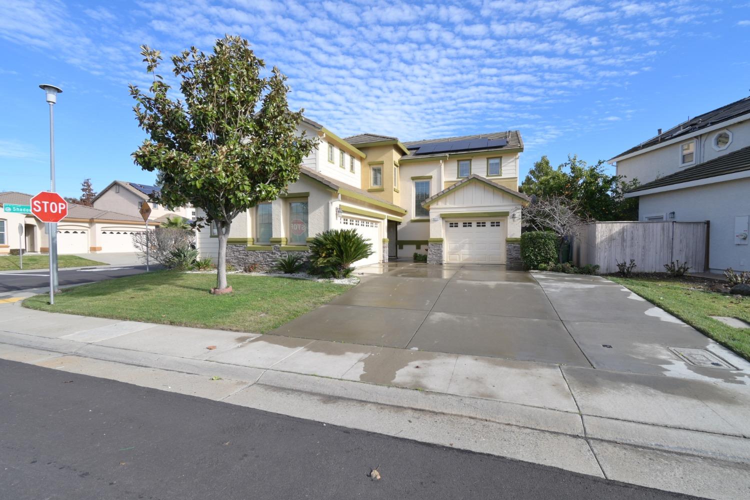 Almondwillow Way, Elk Grove, California image 2