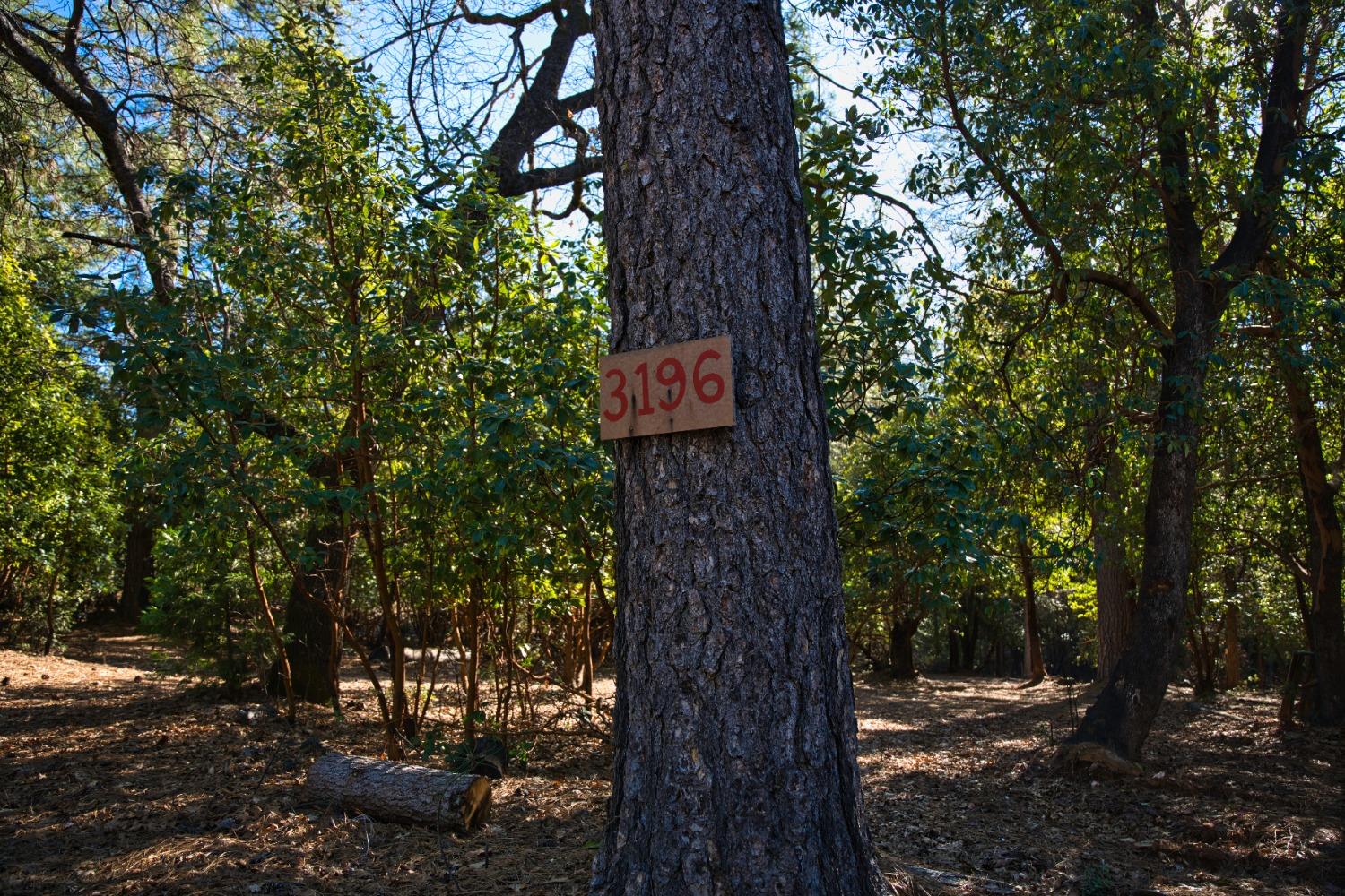 Pine Cone Court, Placerville, California image 3