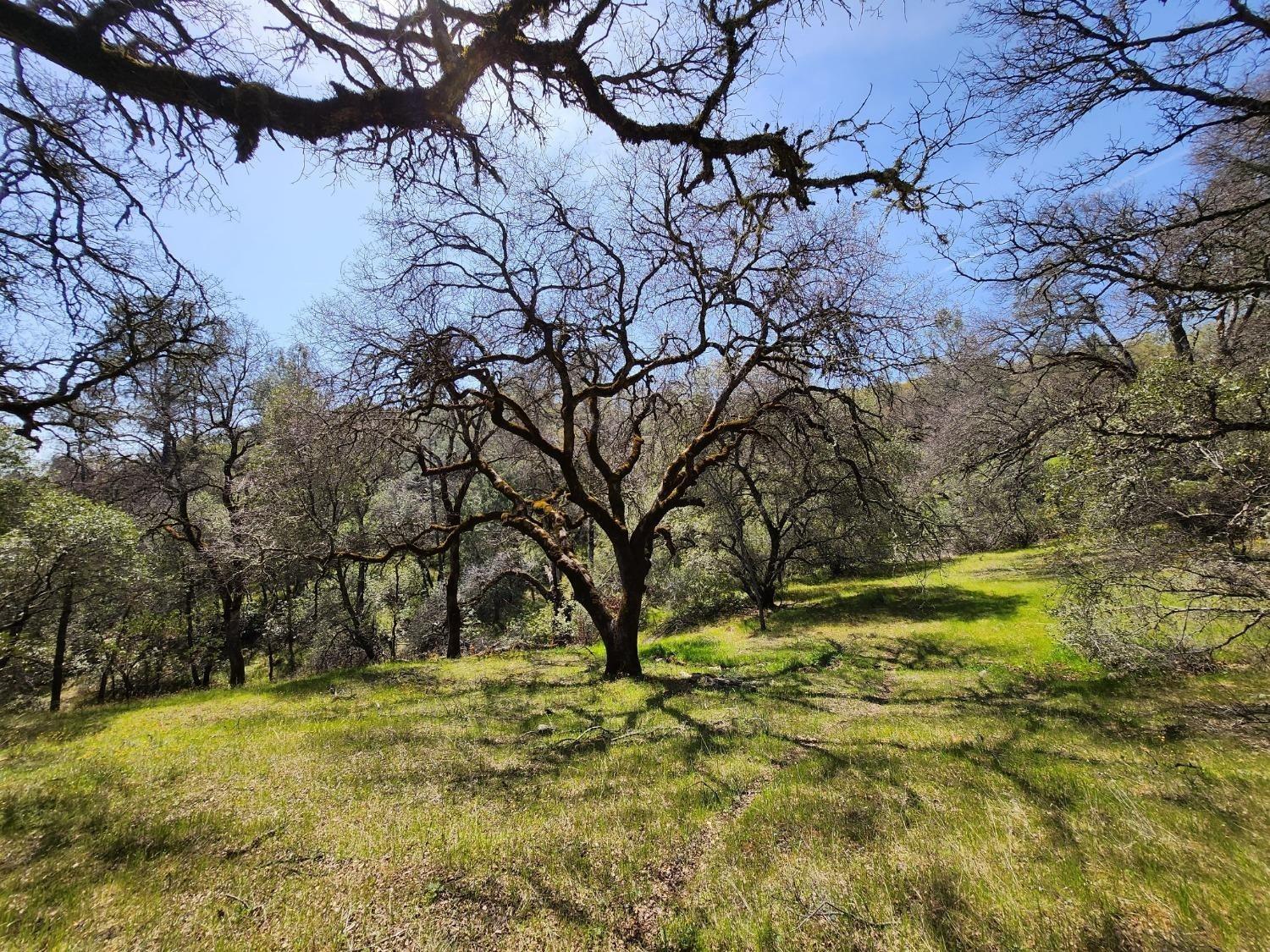 Devon Court, Auburn, California image 3