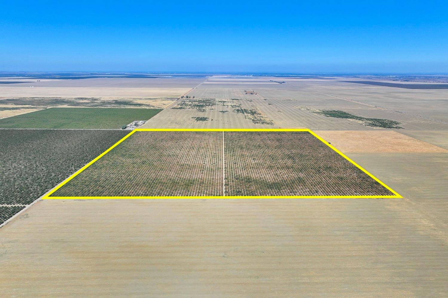 W Adams, Mendota, California image 1