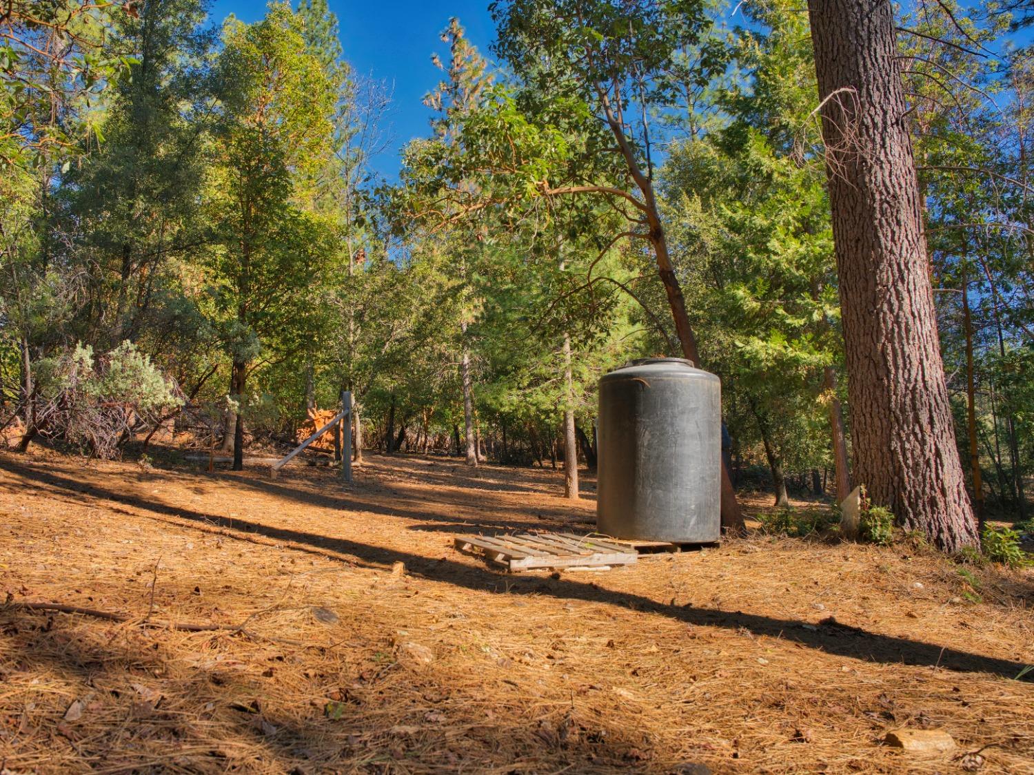 Pine Cone Court, Placerville, California image 8