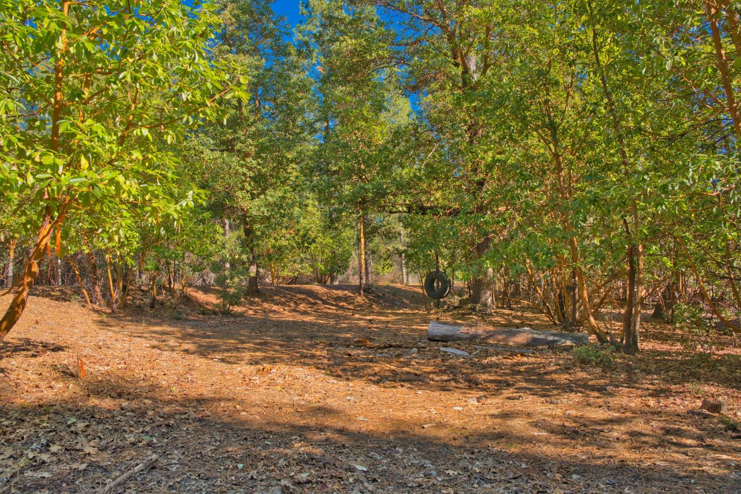 Pine Cone Court, Placerville, California image 6