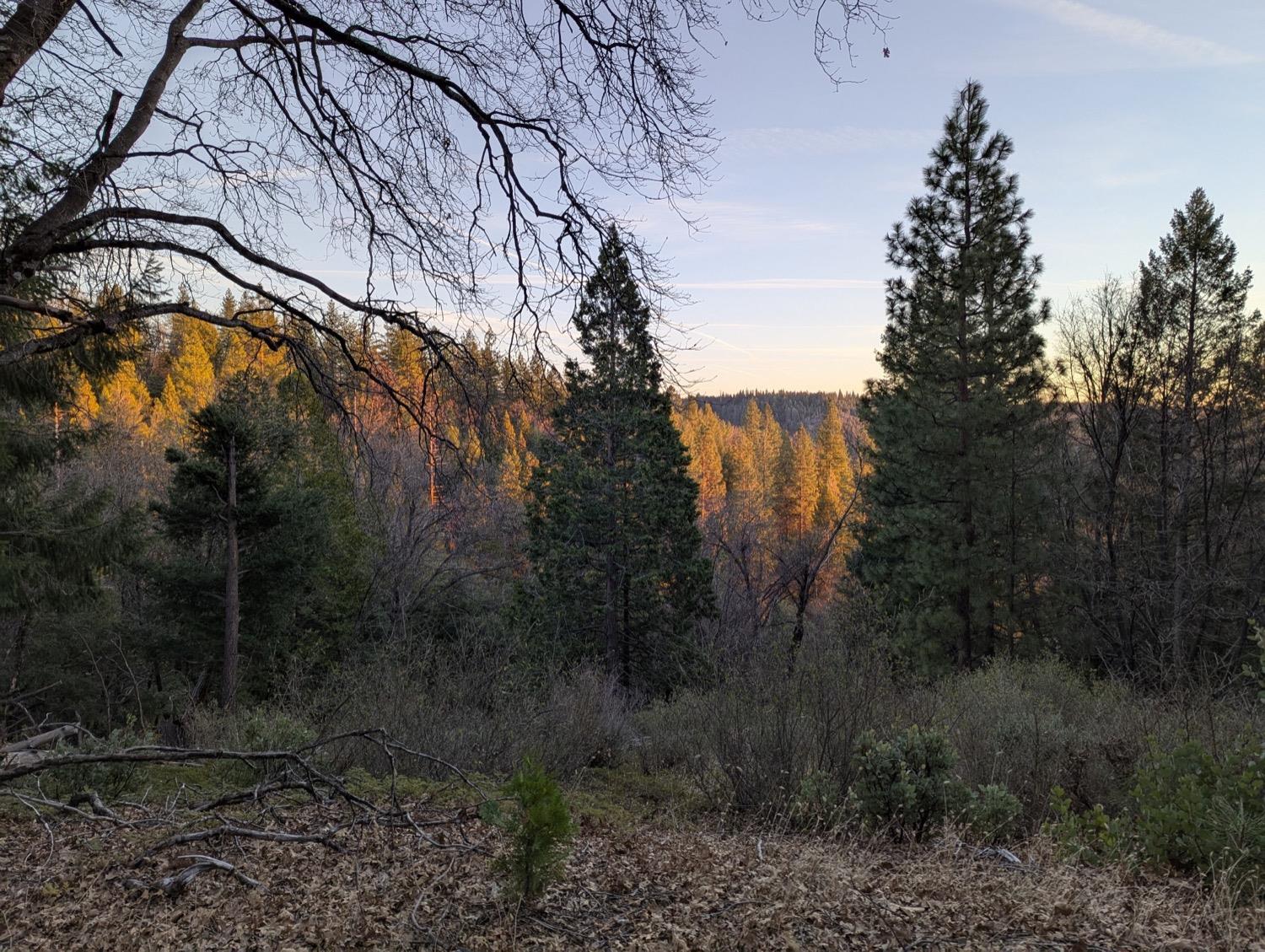 Moody Ridge Road, Gold Run, California image 1