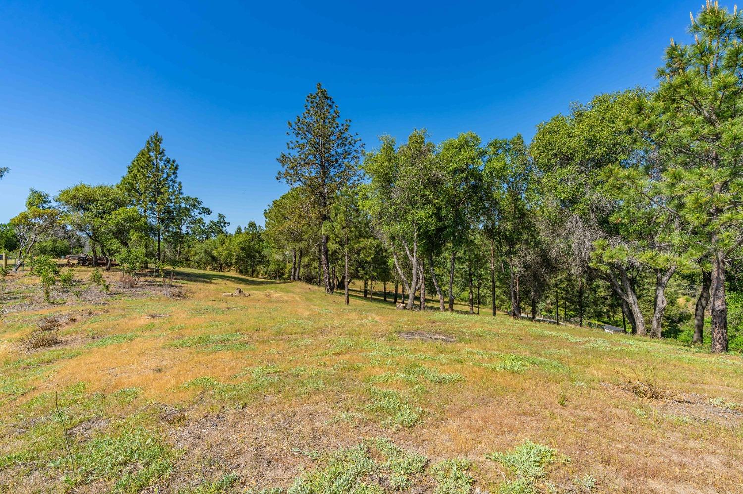 Detail Gallery Image 19 of 30 For 6650 Starlight Ln, Mountain Ranch,  CA 95246 - – Beds | – Baths