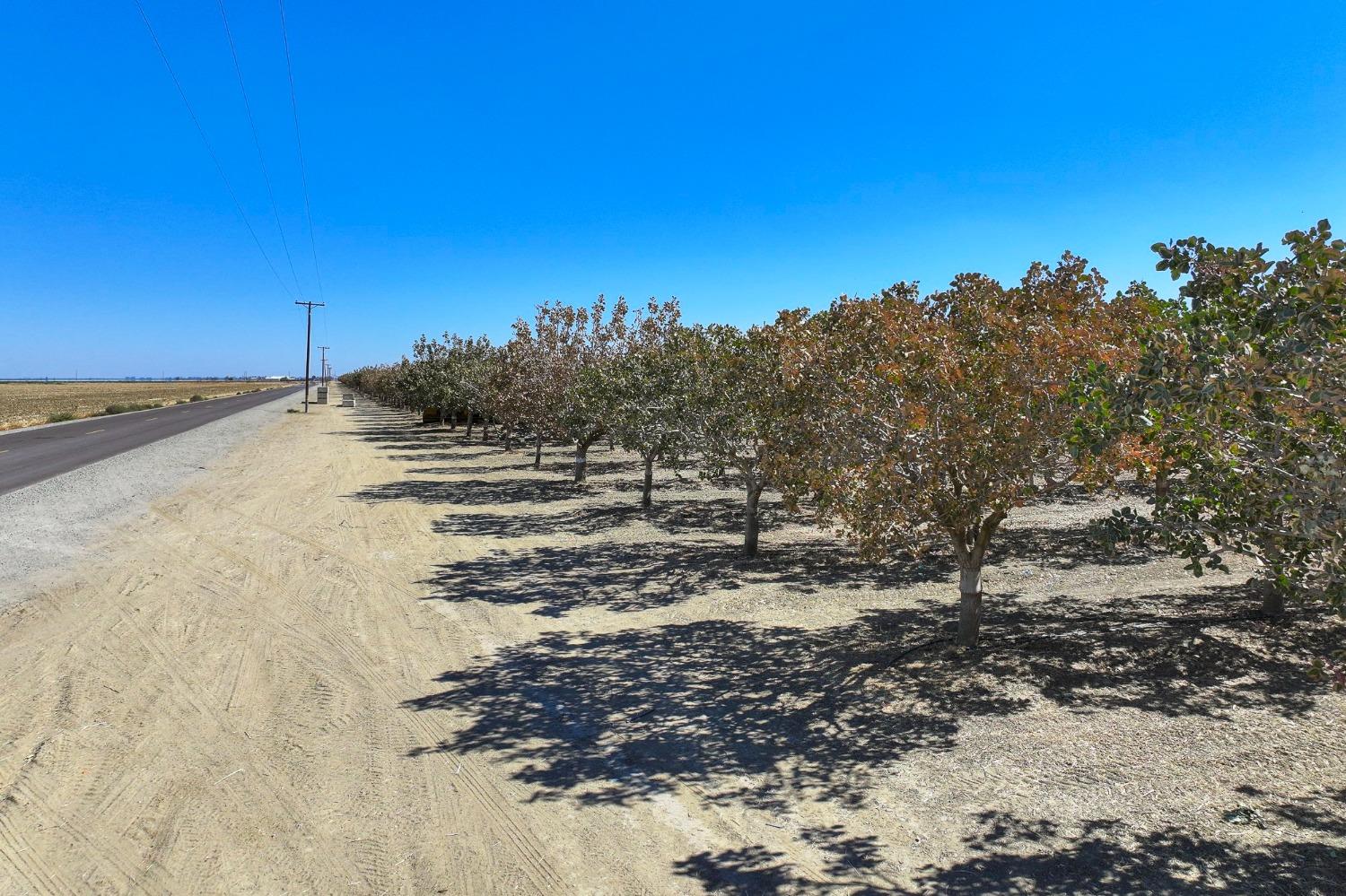 W Adams, Mendota, California image 7