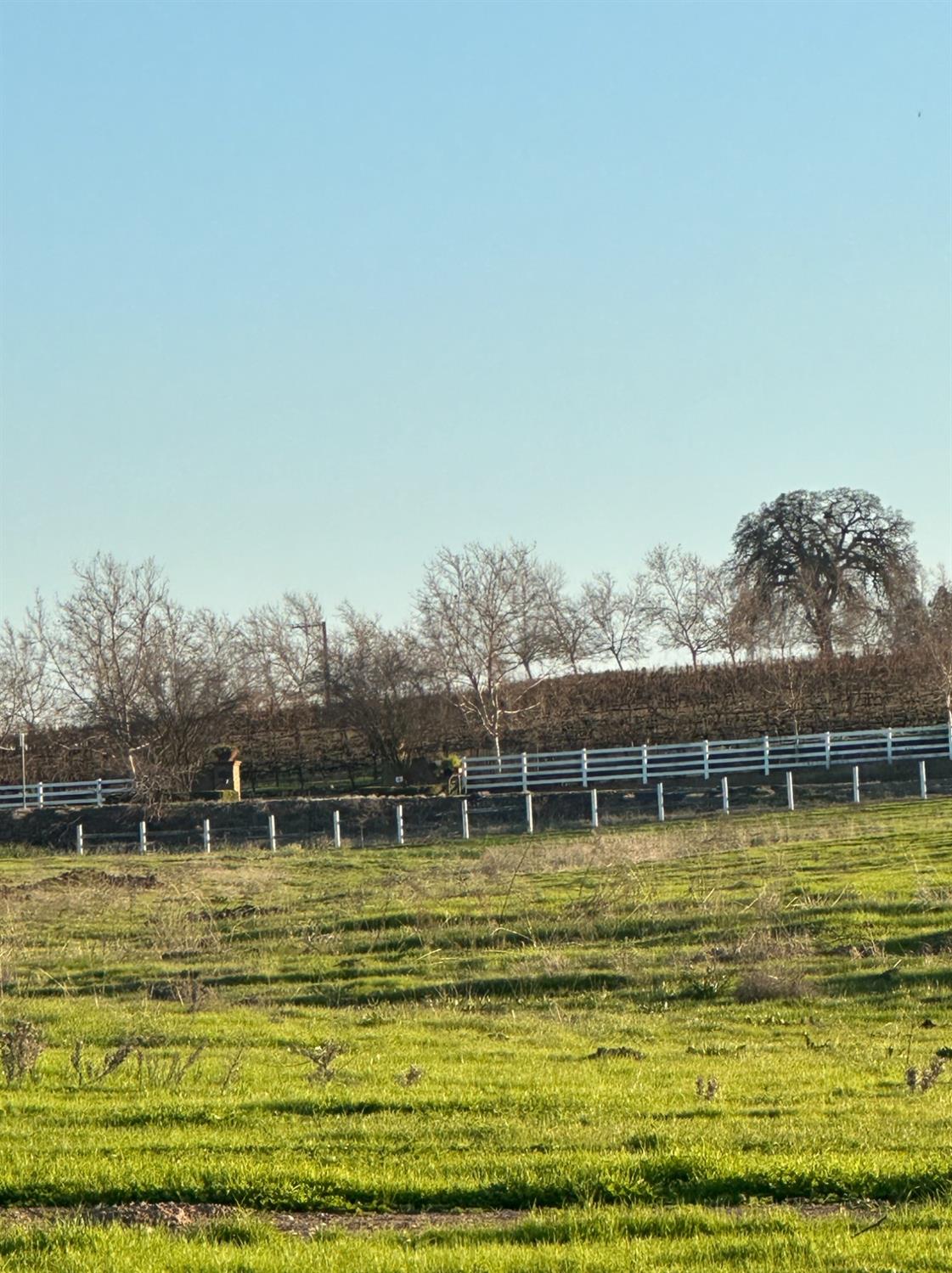 E Stampede Road, Clements, California image 2