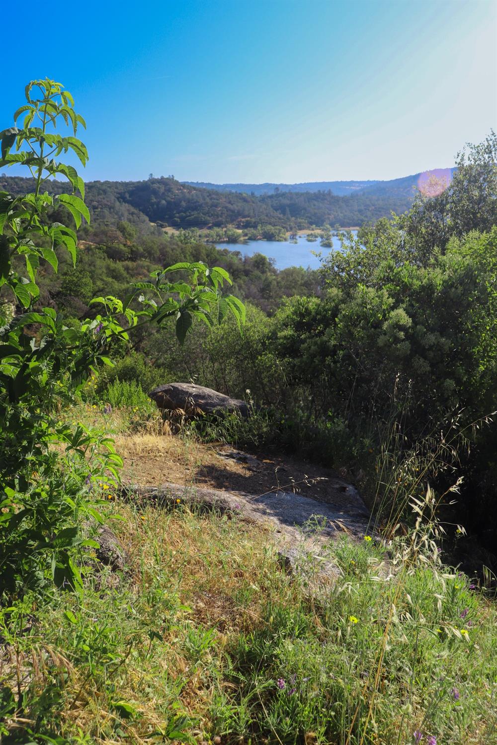 Mountainview Drive, Loomis, California image 10