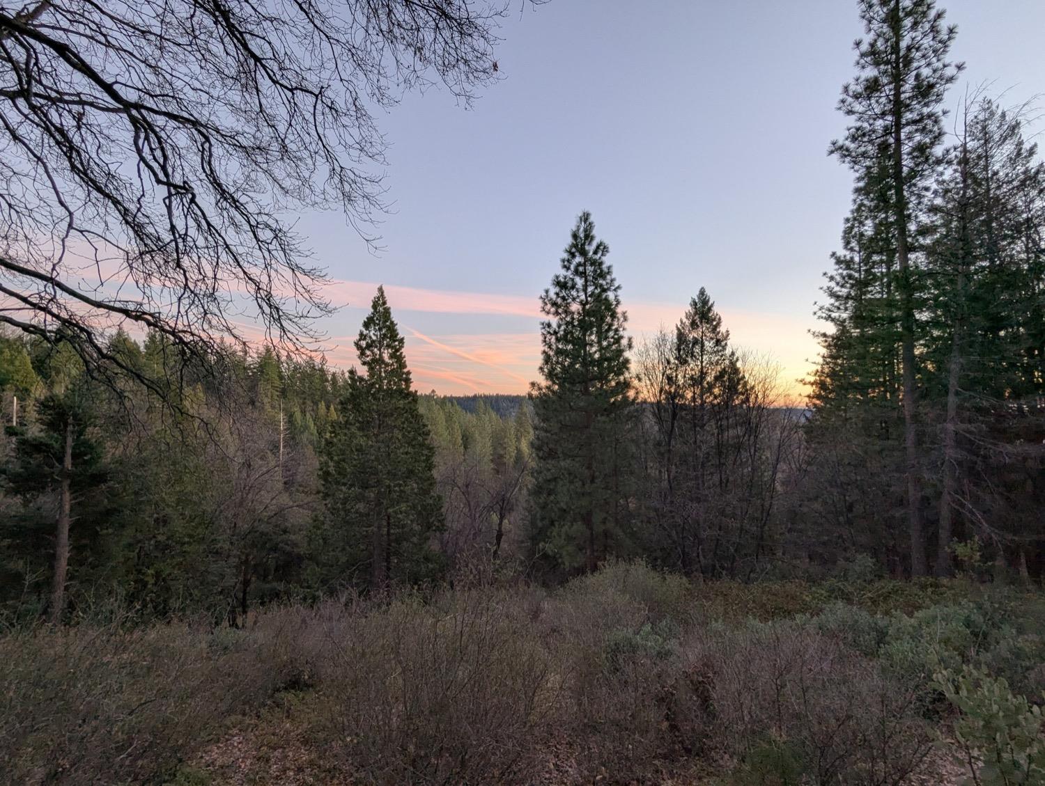 Moody Ridge Road, Gold Run, California image 7