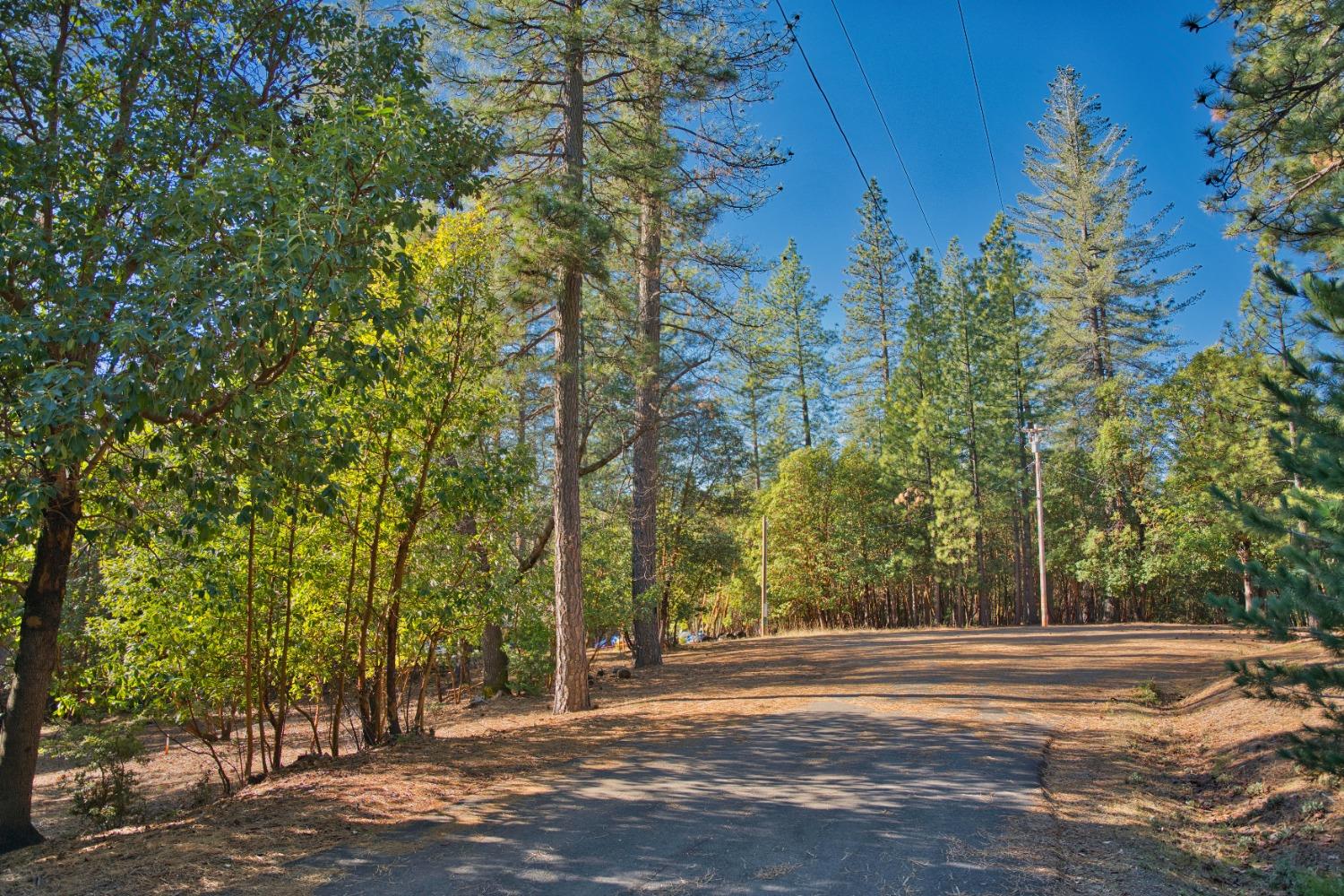 Pine Cone Court, Placerville, California image 9