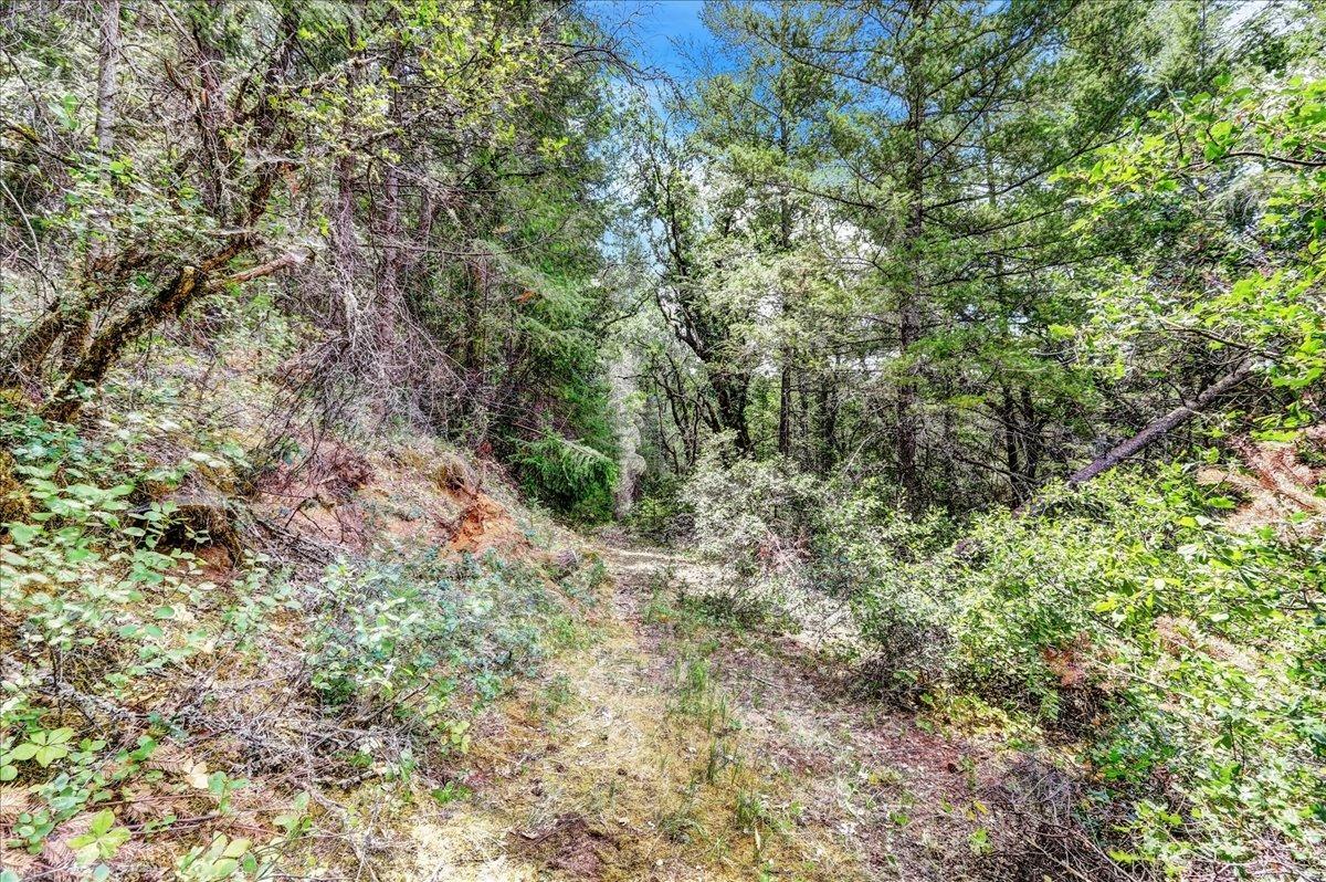 Hoppy Hollow Road, Grass Valley, California image 47