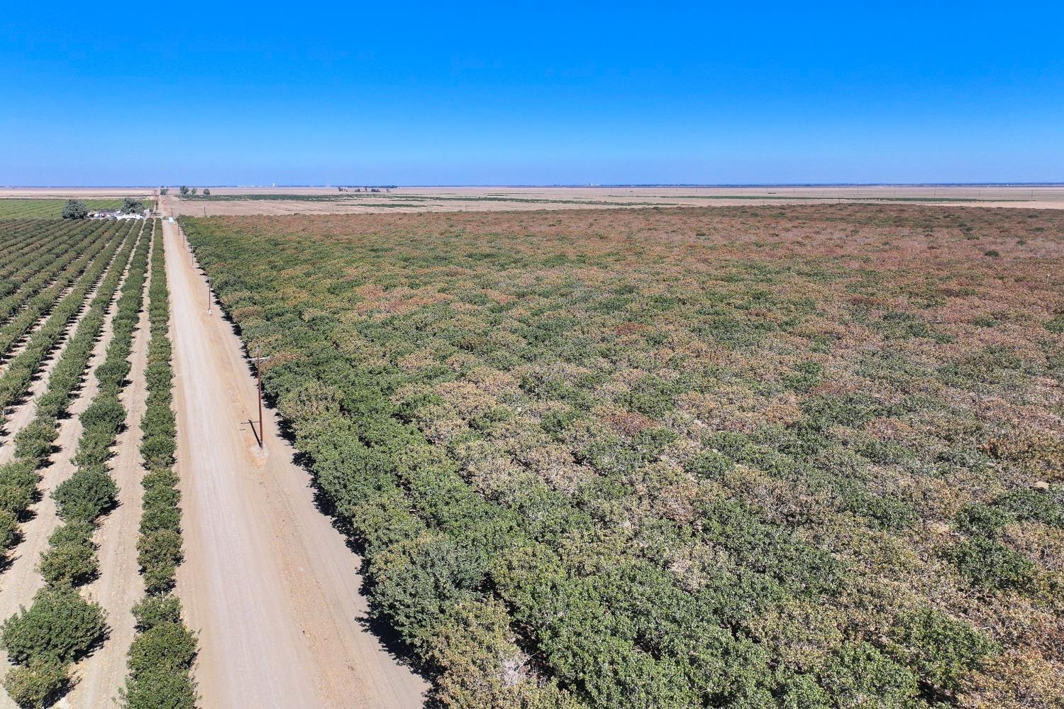 W Adams, Mendota, California image 6