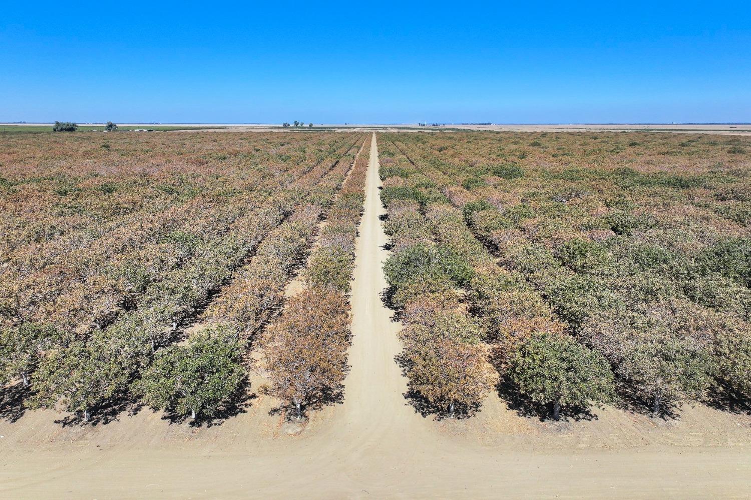W Adams, Mendota, California image 3