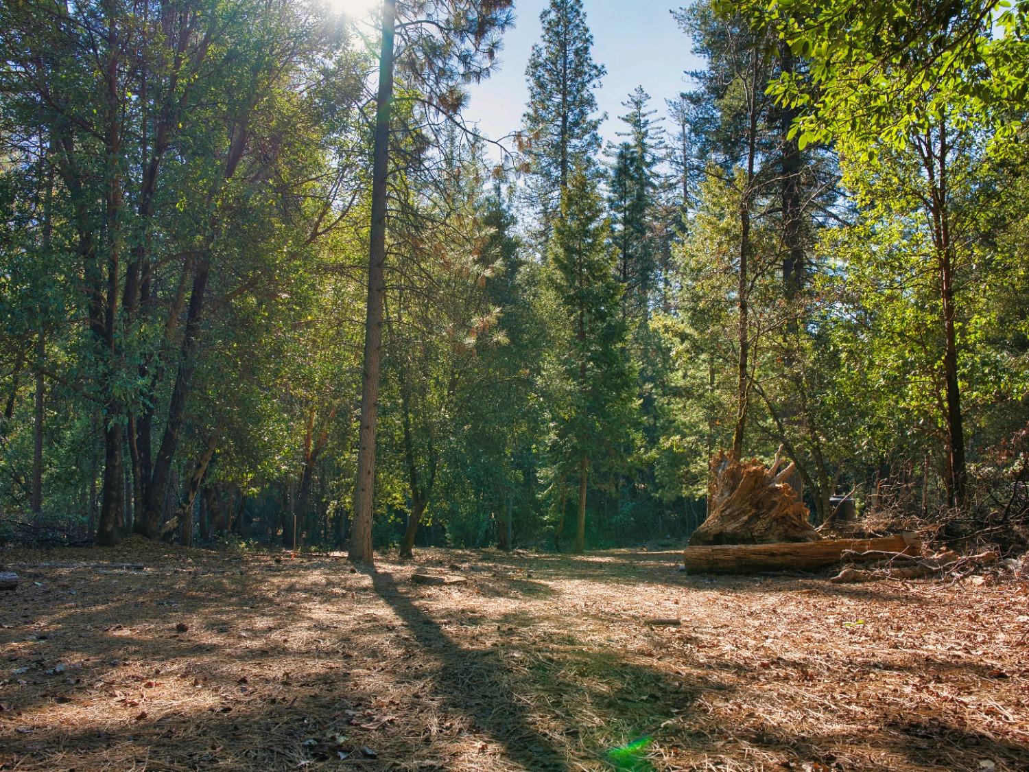 Pine Cone Court, Placerville, California image 1