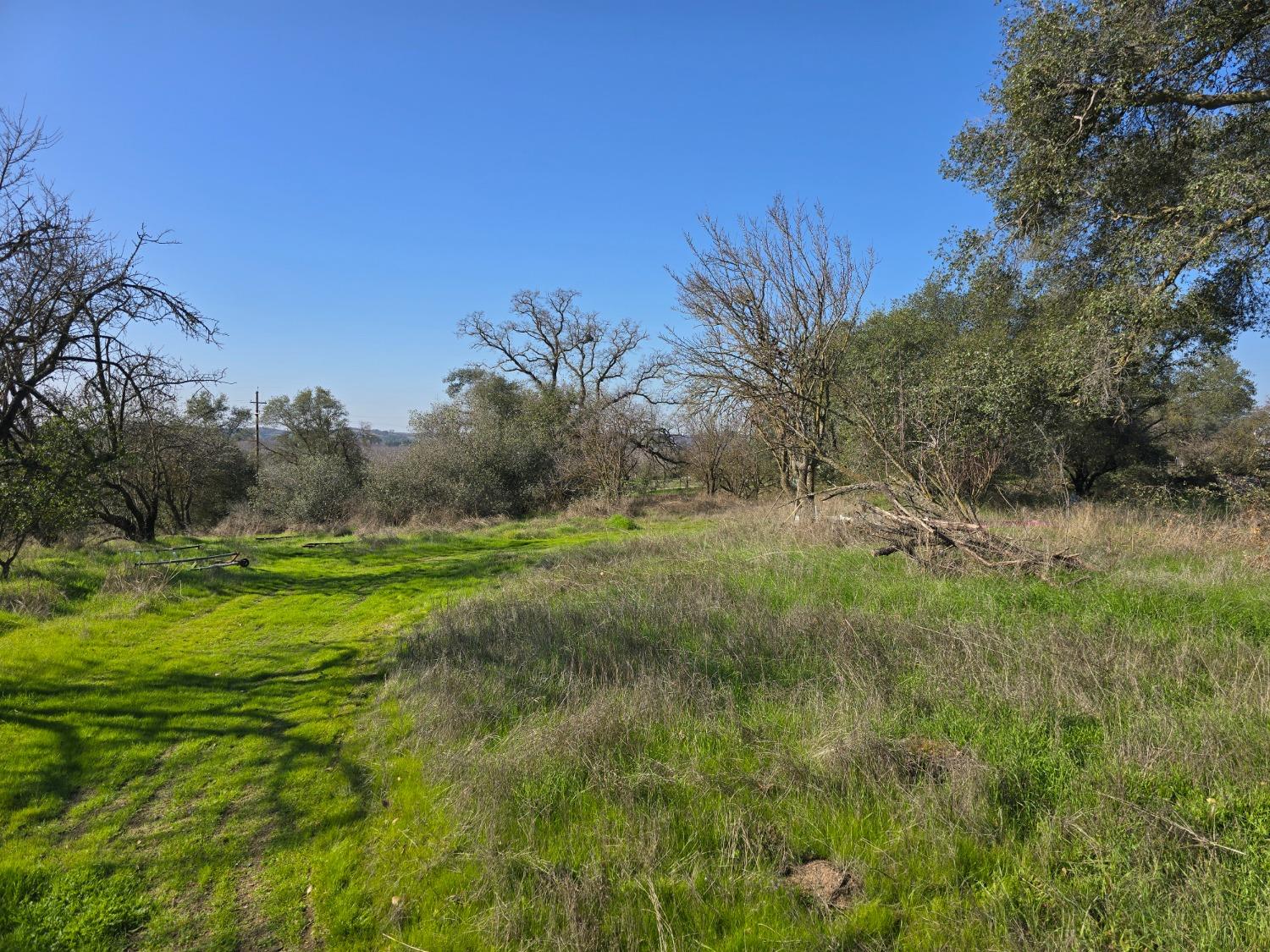 Orange Blossom Road, Oakdale, California image 3