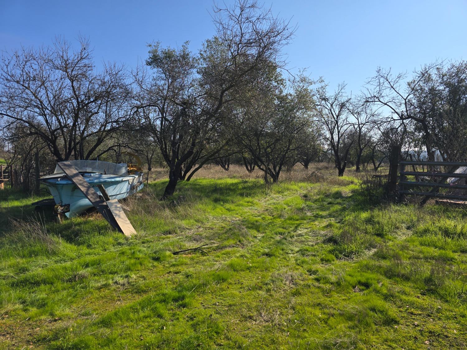 Orange Blossom Road, Oakdale, California image 7