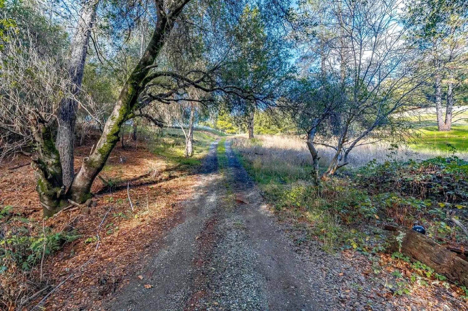 Red Mule Road, Fiddletown, California image 2