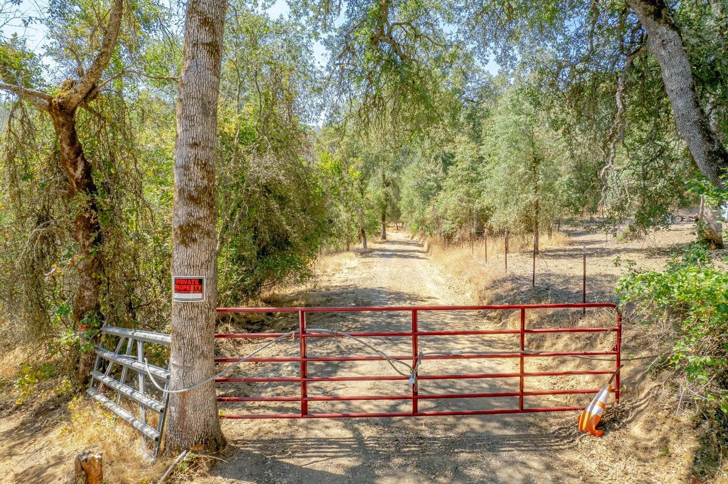 Clark Mountain Road, Lotus, California image 1