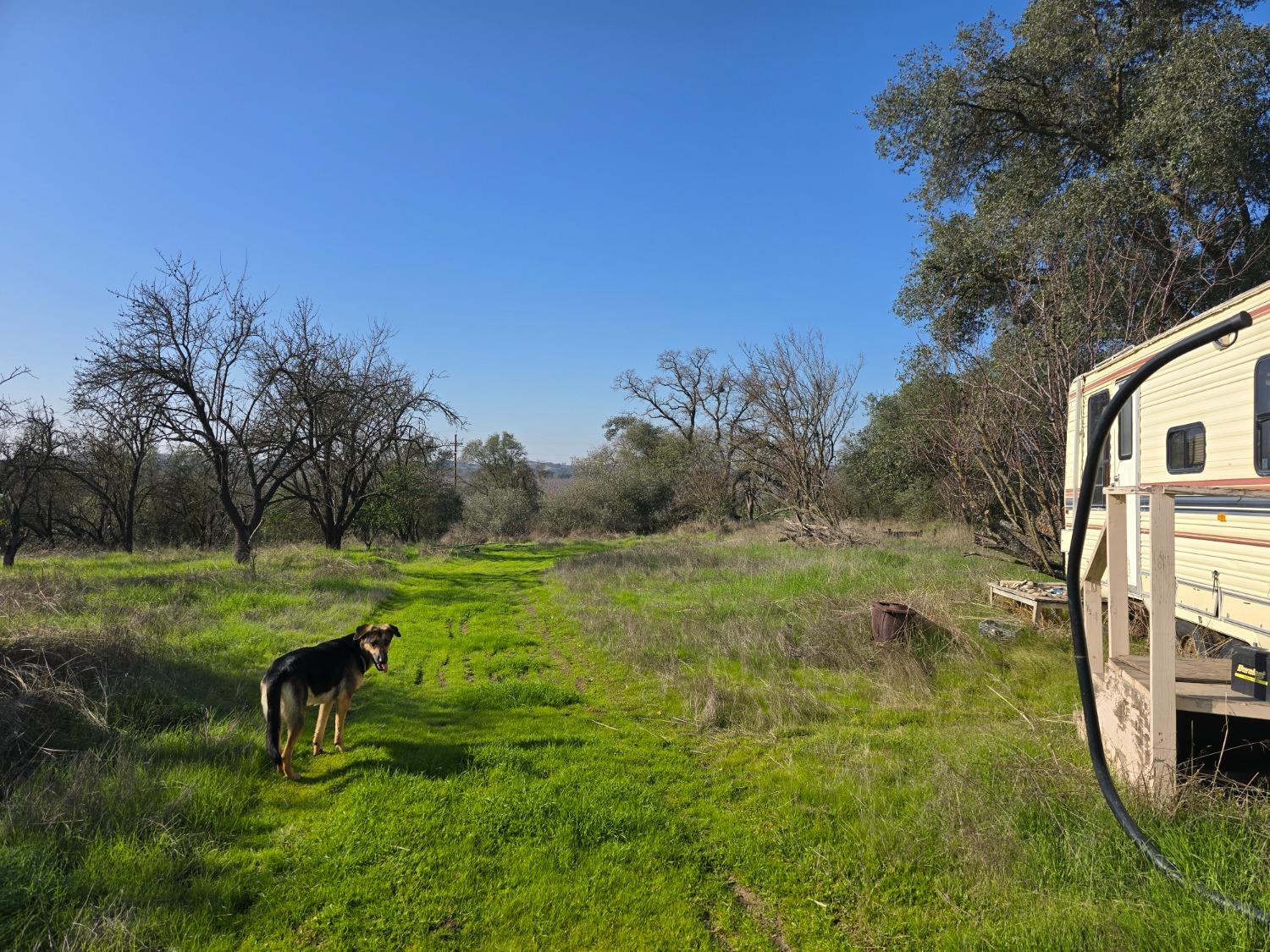 Orange Blossom Road, Oakdale, California image 9