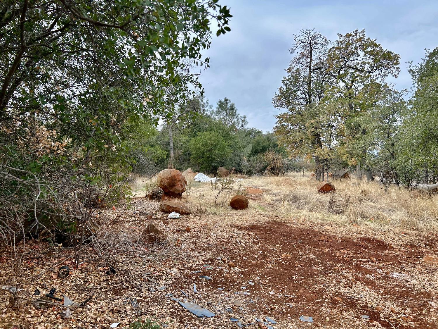 Lack Creek Drive, Shingletown, California image 4