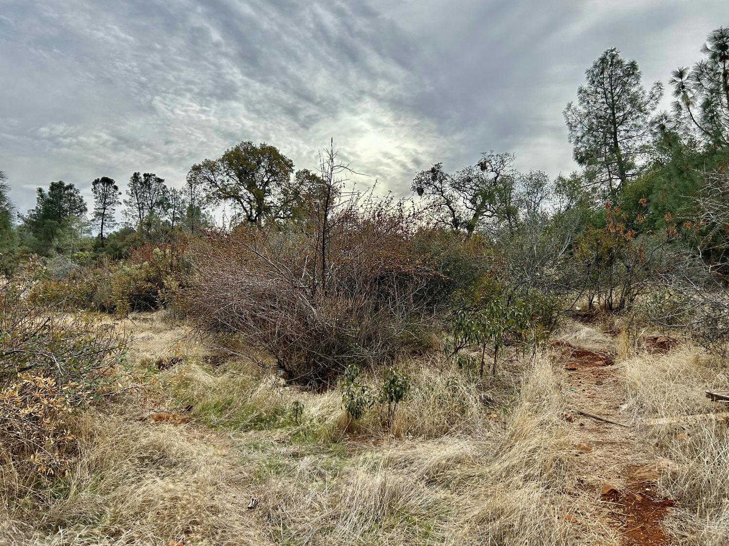 Lack Creek Drive, Shingletown, California image 10