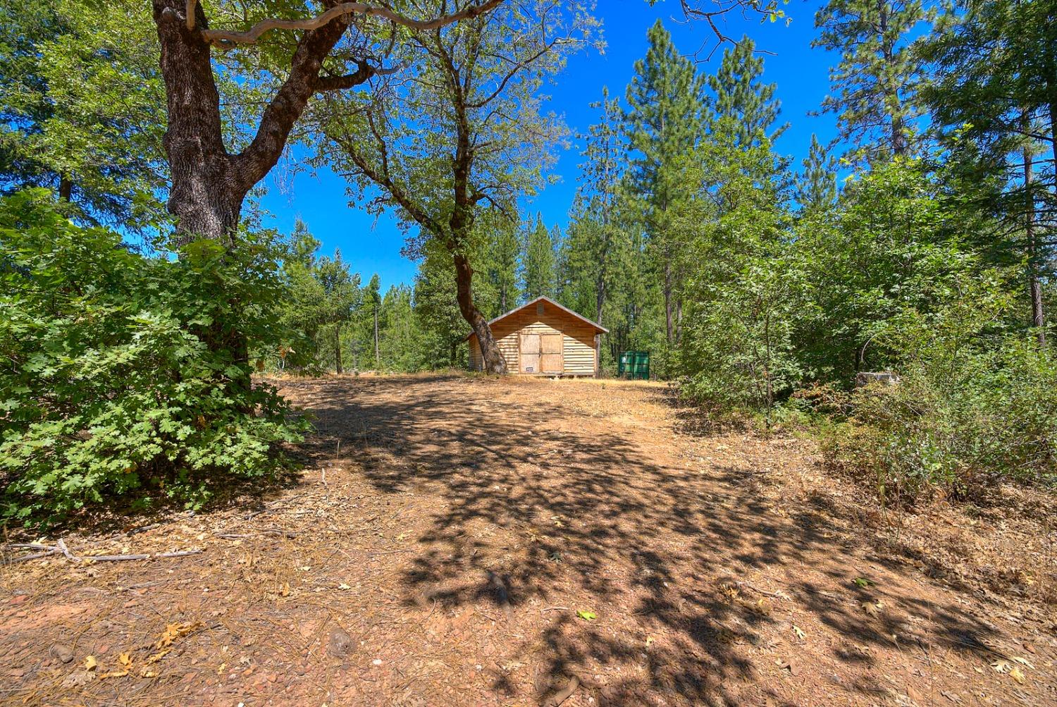 Chicago Park Powerhouse Road, Colfax, California image 18