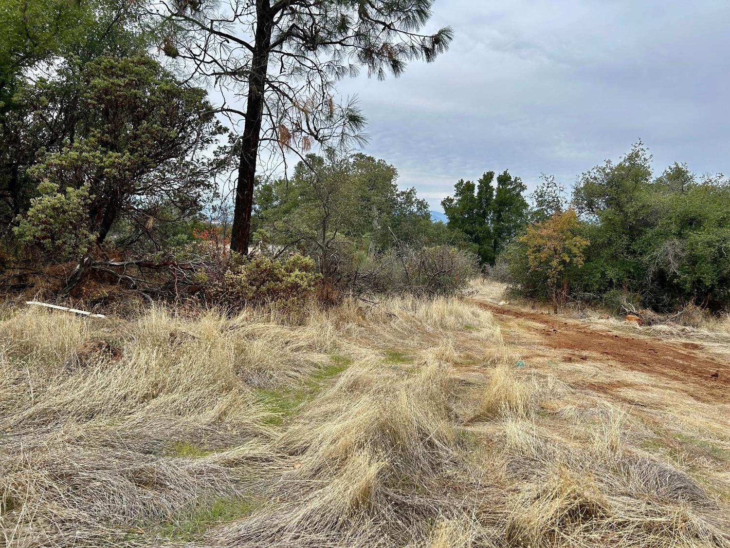 Lack Creek Drive, Shingletown, California image 8