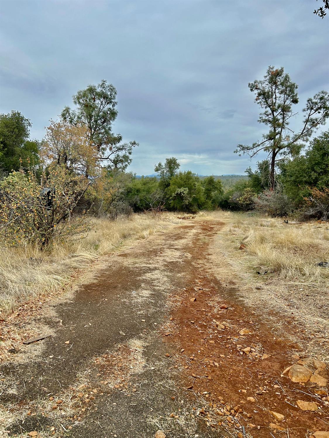 Lack Creek Drive, Shingletown, California image 7