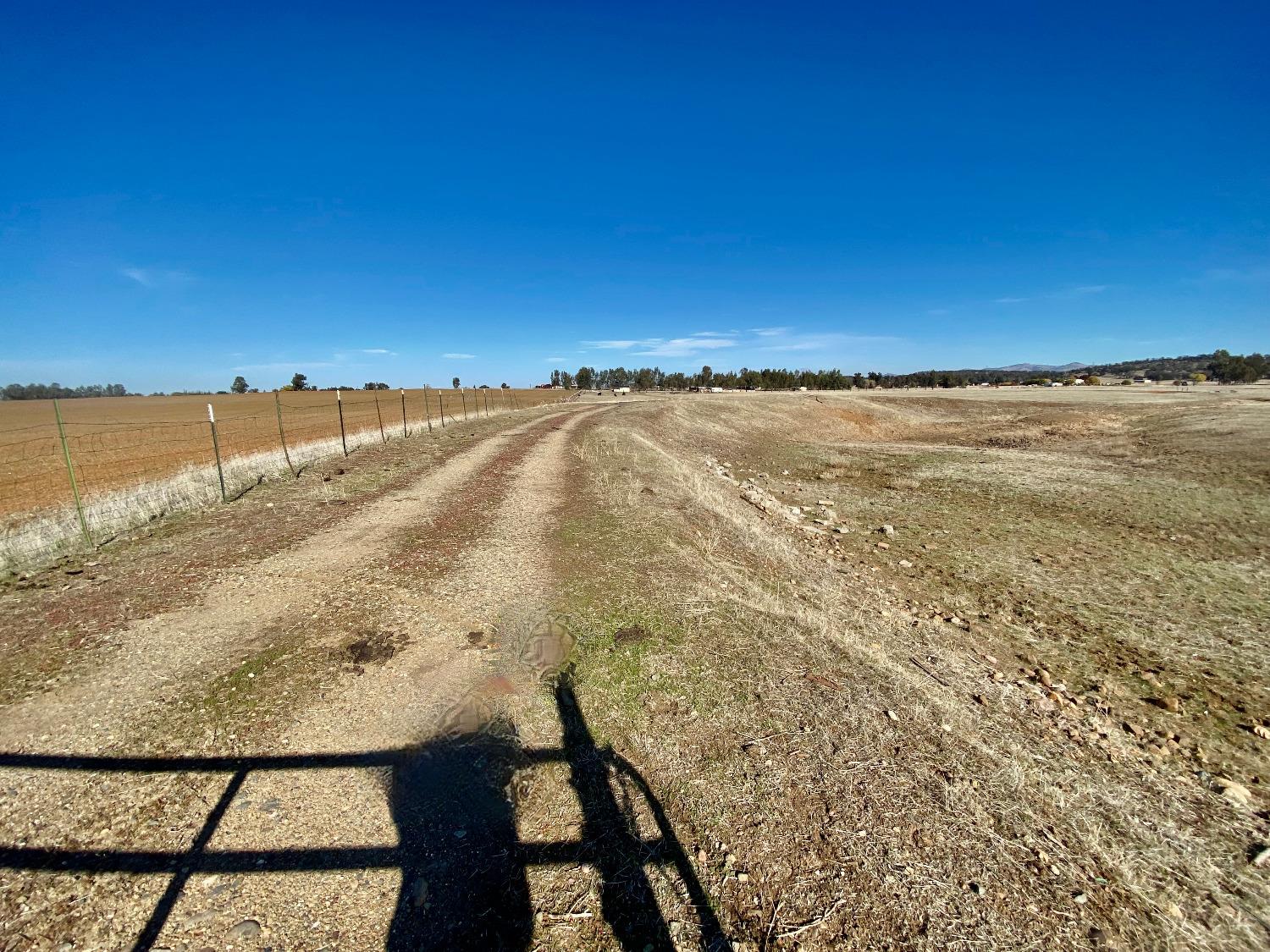 Four Junes Way, Palermo, California image 5