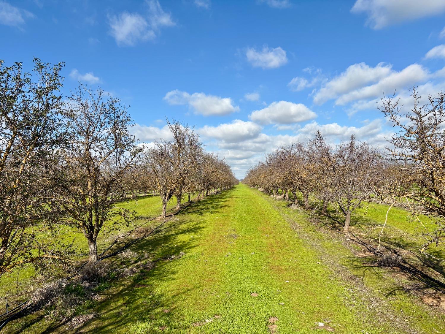 Buchanan Hollow Rd., Le Grand, California image 5