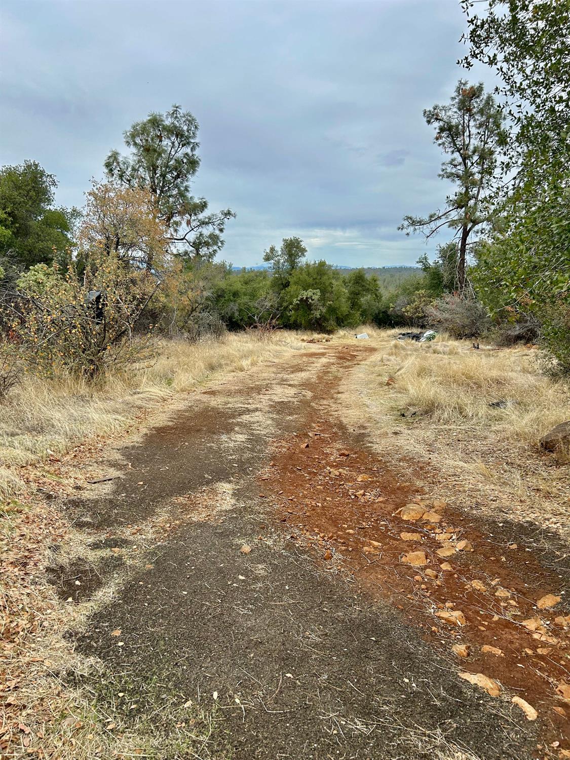 Lack Creek Drive, Shingletown, California image 6