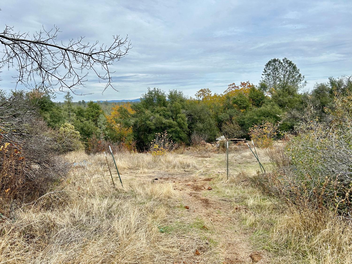 Lack Creek Drive, Shingletown, California image 11