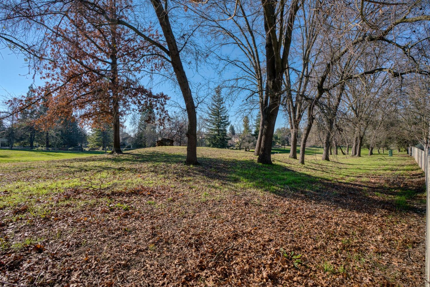 Medella Circle, Rancho Murieta, California image 14