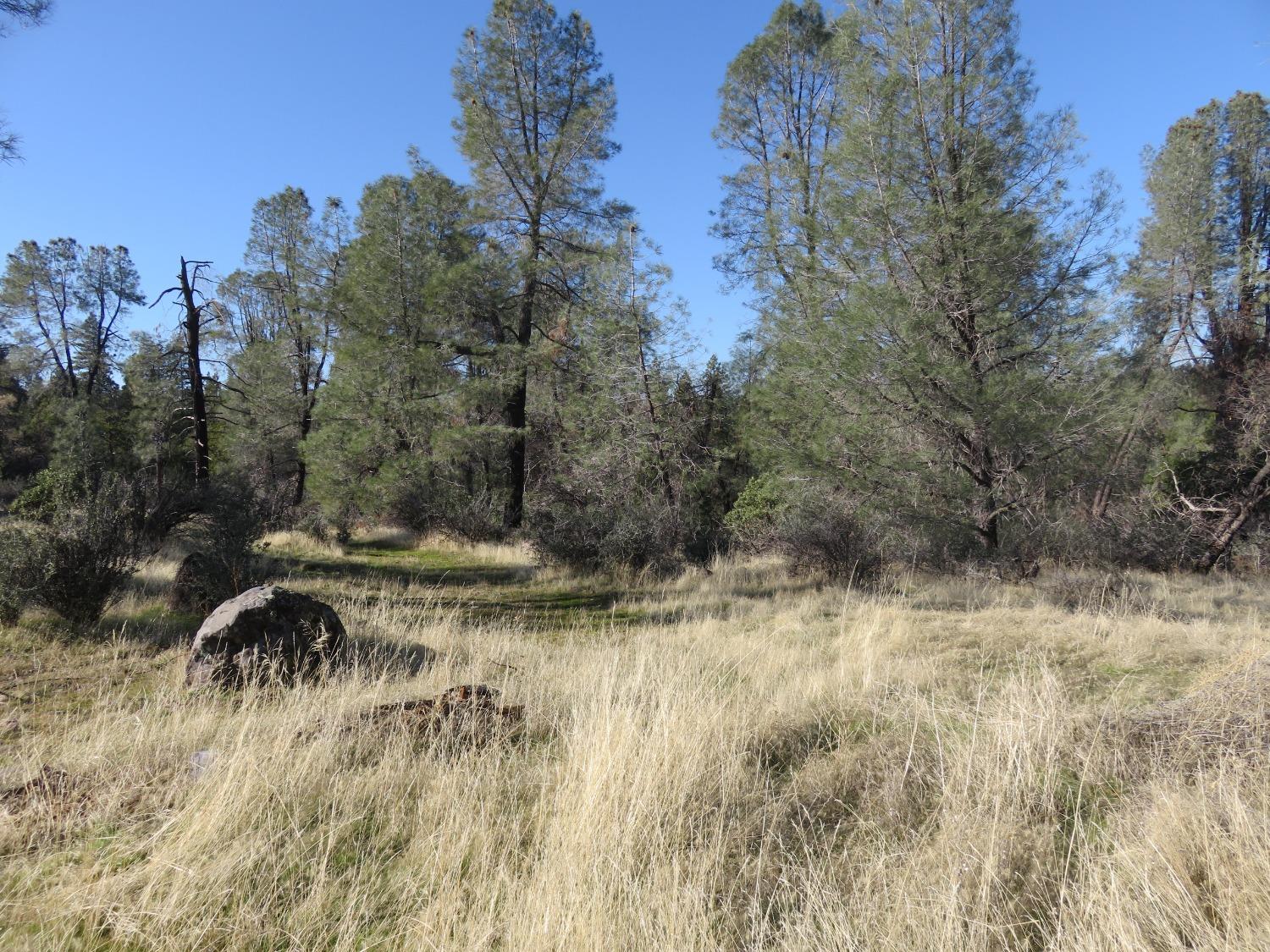 Williams Road, Pioneer, California image 2