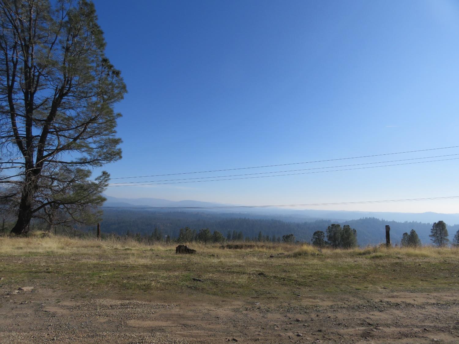 Williams Road, Pioneer, California image 1