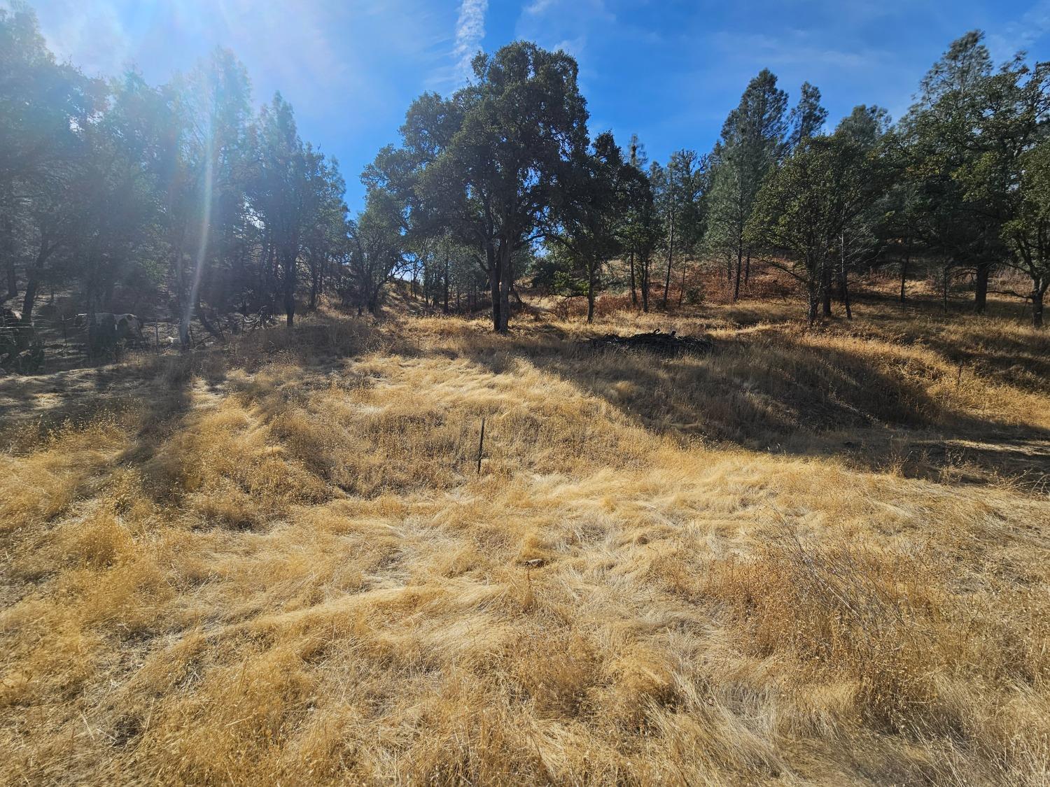 Stagecoach Road, Corning, California image 3