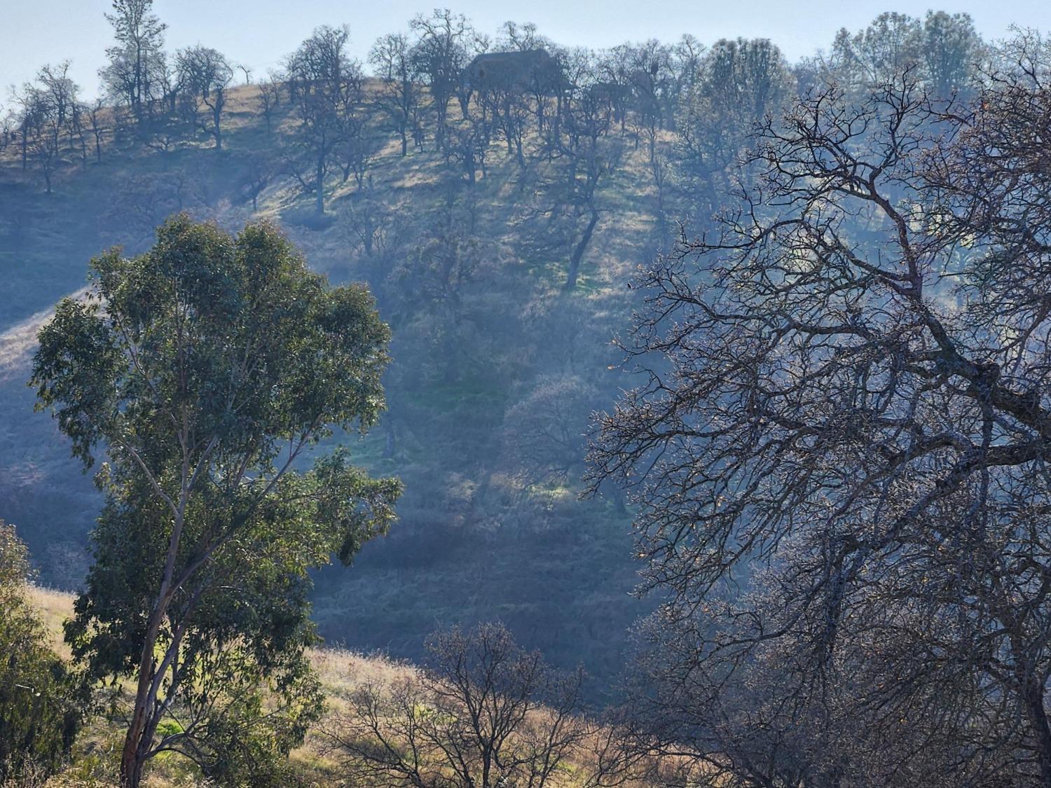 Penascal Road, La Grange, California image 19