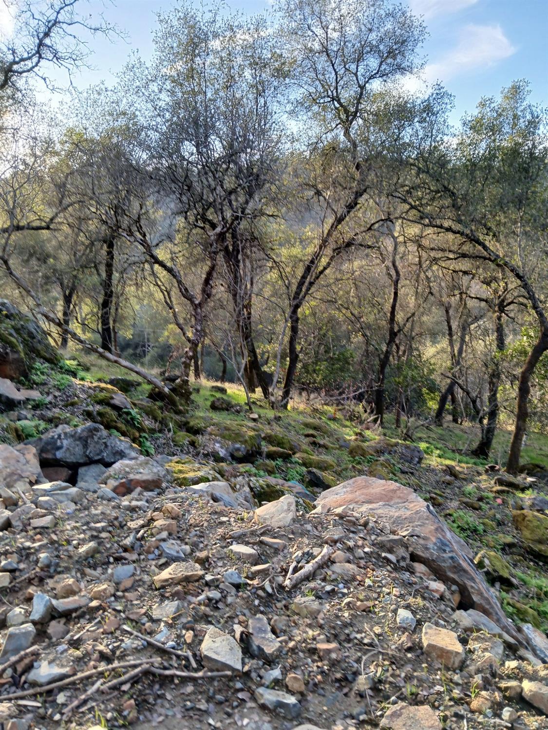 Lorrain Street, Shingle Springs, California image 7