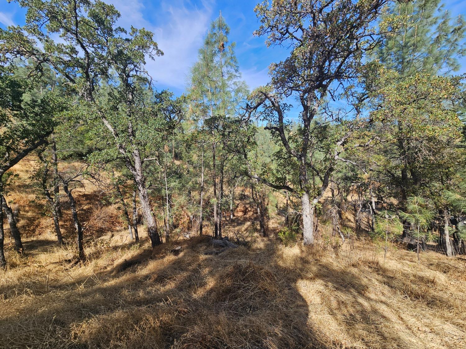 Stagecoach Road, Corning, California image 18