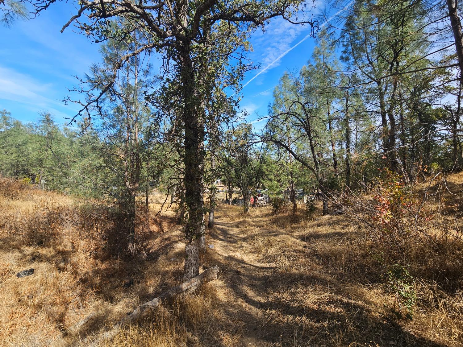 Stagecoach Road, Corning, California image 9