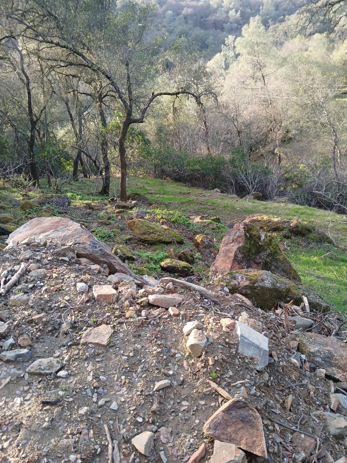 Lorrain Street, Shingle Springs, California image 5