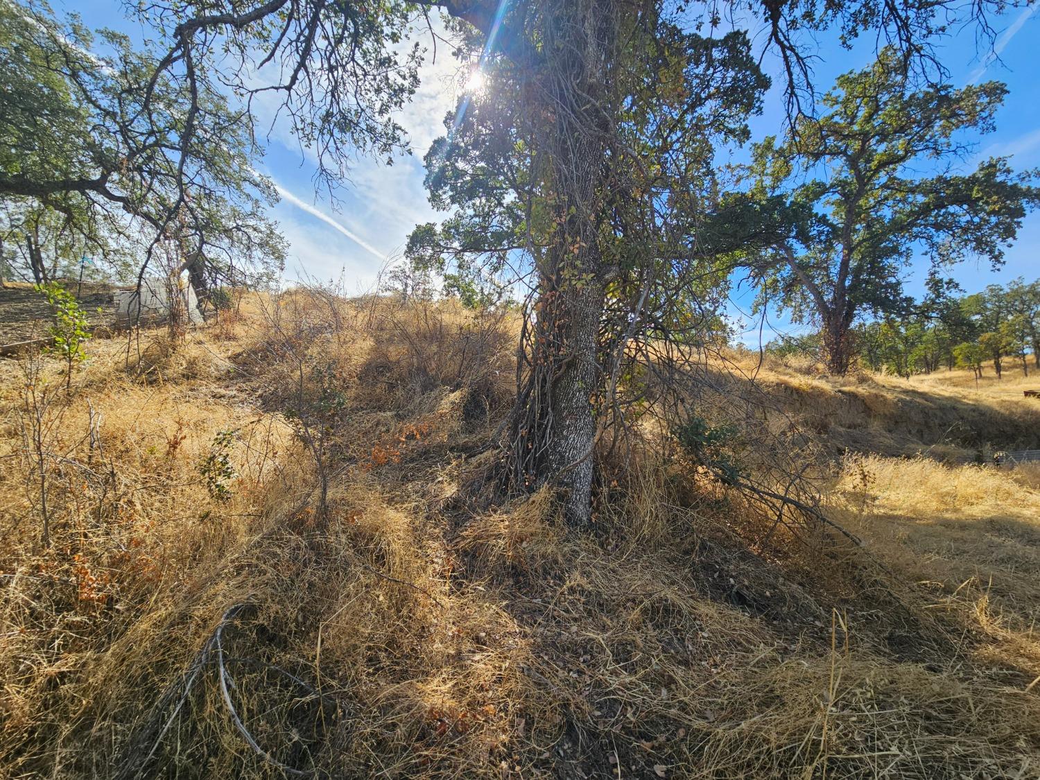 Stagecoach Road, Corning, California image 14