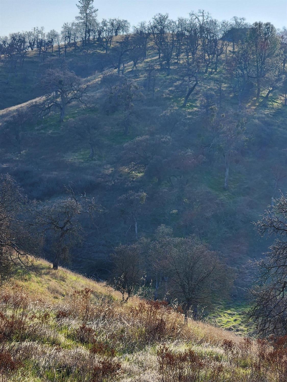 Penascal Road, La Grange, California image 18