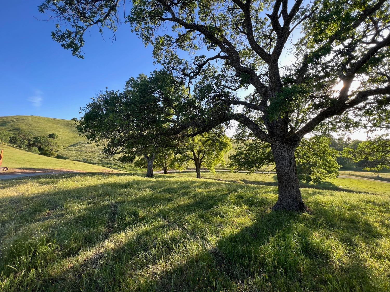 New Chicago Road, Drytown, California image 10