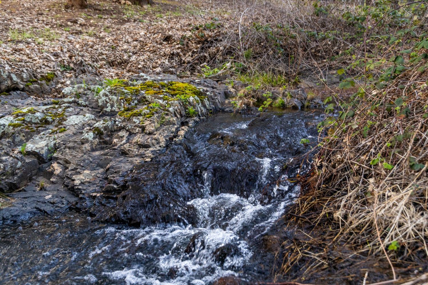 Turkey Trot Place, Grass Valley, California image 8