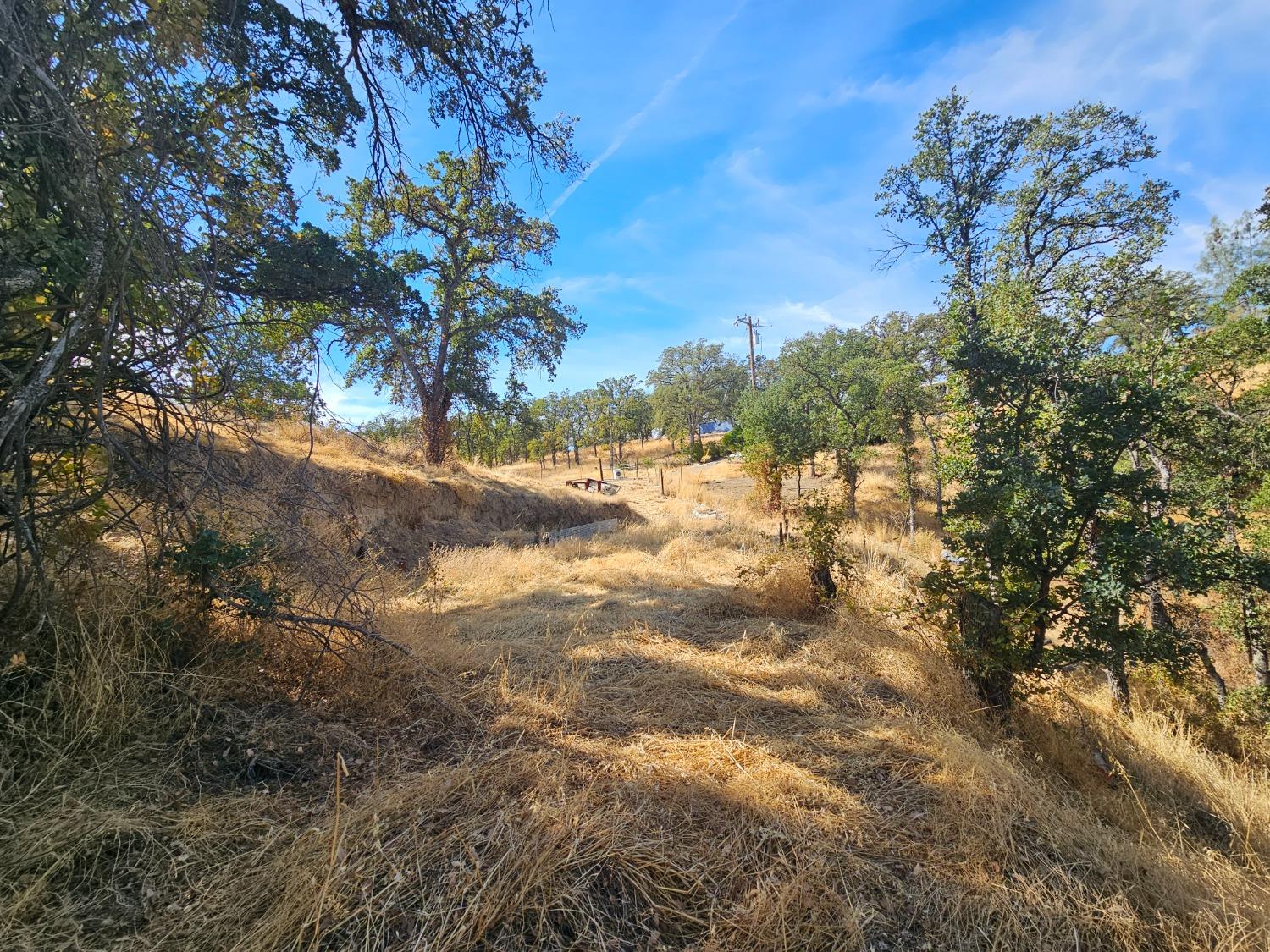 Stagecoach Road, Corning, California image 13