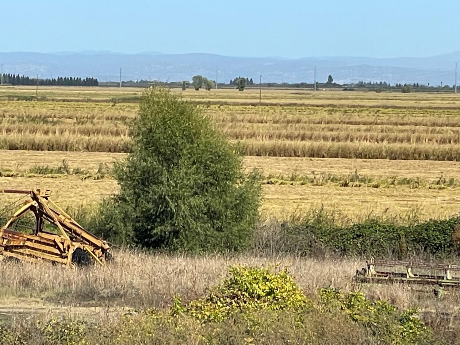 Obanion Road, Yuba City, California image 5